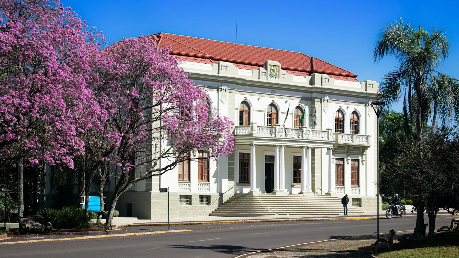 Internet Dedicado para Instituciones Públicas y Municipalidades
