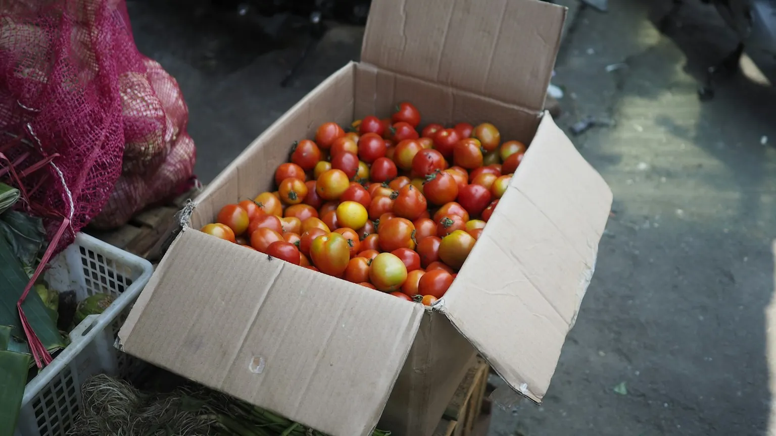 Agroexportación desde Guatemala: qué monitoreo de temperatura exigen los compradores